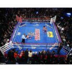 PRO Boxing Fight Night Limited Edition Boxing Ring