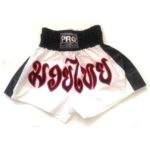 Pro Nylon Muay Thai Shorts