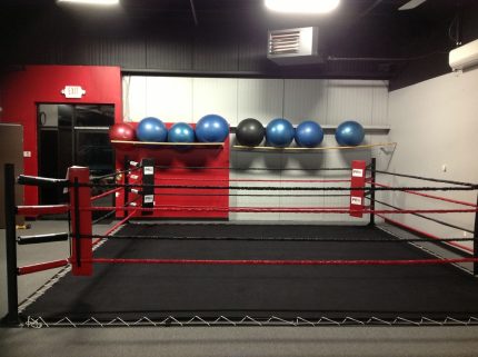 PRO Boxing Deluxe Floor Ring Complete Made in USA