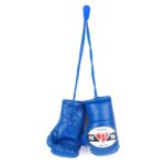 PRO USA 5” Professional Mini Boxing Gloves