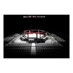 MMA Cage