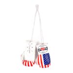 PRO USA 5” Mini USA Pattern Boxing Gloves