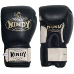 Windy Thai Training Gloves